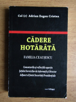 Adrian Eugen Cristea - Caderea hotarata in legatura cu familia Ceausescu