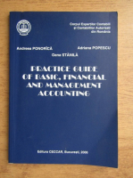 Andreea Ponorica, Adrian Popescu, Oana Stanila - Practice guide of basic, financial and management accounting