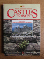 Castles in wales. History, spectacle, romance
