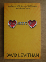 David Levithan - Boy meets boy
