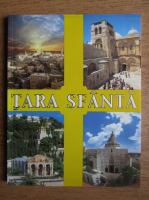 Anticariat: Pelerin in Tara Sfanta