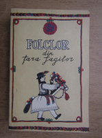 Anticariat: Folclor din Tara Fagilor