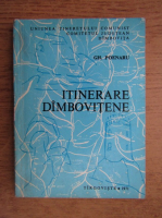 Gheorghe Poenaru - Itinerare Dambovitene