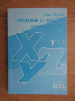 Petre Nachila - Probleme de algebra pentru gimnaziu
