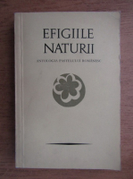 Anticariat: Petre Stoica, Mircea Tomus - Efigiile naturii. Antologia pastelului romanesc