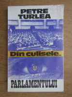 Petre Turlea - Din culisele Parlamentului Romaniei, 1990-1992 (volumul 1)