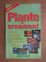 Plante de ornament