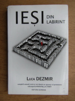 Luca Dezmir - Iesi din labirint. Gaseste-ti libertatea financiara in stilul tau