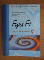 Rodica Ionescu Andrei - Fizica F1. Manual pentru clasa a XI-a (2007)