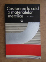 Silviu Craciun - Cositorirea la cald a materialelor metalice