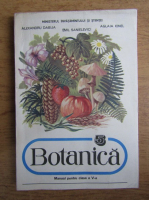 Alexandru Dabija - Botanica. Manual pentru clasa a V-a