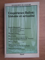 Andre Missenard - L'experience Balint. Histoire et actualite