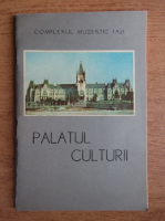Complexul muzeistic Iasi, Palatul Culturii 