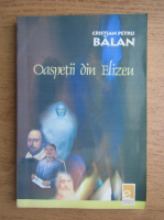 Cristian Petru Balan - Oaspetii din Elizeu