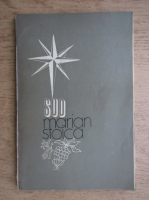 Marian Stoica - Sud