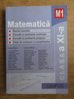 Marius Burtea, Georgeta Burtea - Matematica clasa a XI-a, M1 (2013)
