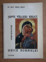 Vasile Mihoc - Sapte talcuri biblice despre Maica Domnului