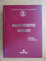 Aureliu Leca, Virgil Musatescu - Managementul energiei. Principii, concepte, politici, instrumente
