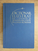 Anticariat: Elena Danila - Dictionar ilustrat de cuvinte si sensuri recente in limba romana