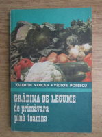 Anticariat: Valentin Voican - Gradina de legume de primavara pana toamna