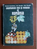 Anticariat: Gherasim Constantinescu, Aurel Gheorghiu, Anibal Gheorghiu - Drumurile viei si vinurile in Romania