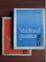 Anticariat: M. I. Dubrovin - Situational grammar (2 volume)