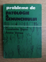 Constantin Sisiroi - Probleme de patologie a genunchiului