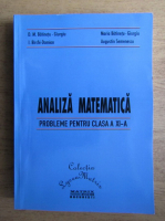 D. M. Batinetu Giurgiu - Analiza matematica. Probleme pentru clasa a XI-a