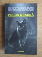Anticariat: Dana Ionescu - Pisica neagra
