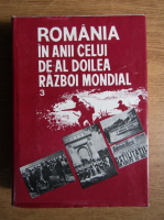 Ion Alexandrescu - Romania in anii celui de-al doilea raboi mondial (volumul 3)
