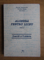 Marian Andronache, Niculae Ghiciu, Ion Savu - Algebra pentru liceu. Exercitii si probleme (volumul 1, 1999)