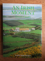 Terence J. Sheehy - An irish moment