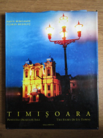 Dan N. Buruleanu - Timisoara, povestea oraselor sale
