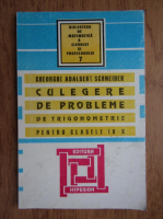 Gheorghe Adalbert Schneider - Culegere de probleme de trigonometrie pentru clasele IX-X (1997)