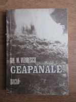 Sm. M. Vizirescu - Geapanale