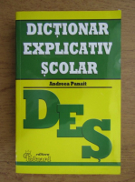Andreea Panait - Dictionar explicativ scolar