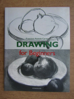 Francisco Asensio Cerver - Drawing for beginners