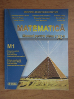 Gabriela Streinu Cercel, Manuela Prajea, Costel Chites - Matematica M1. Manual pentru clasa a XI-a (2006)