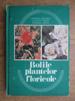 Anticariat: Gheorghe Marinescu, Costache Marcel - Bolile plantelor floricole