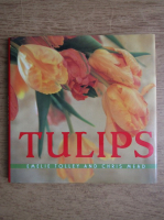 Emelie Tolley - Tulips