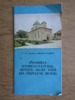 Emilian Stanescu - Ansamblul istorico-cultural-artistic Negru Voda din Campulung Muscel