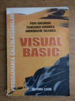 Gheorghe Popa - Visual basic