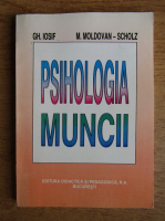 Gheorghe Iosif, M. Moldovan Scholz - Psihologia muncii