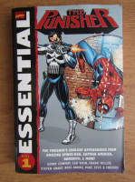 The Punisher (volumul 1)
