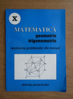 Florin Diac - Matematica, geometrie, trigonometrie. Rezolvarea problemelor din manual