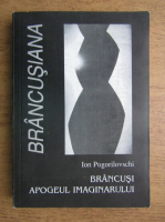 Ion Pogorilovschi - Brancusi, apogeul imaginarului