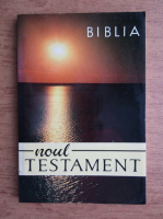 Anticariat: Biblia, Noul Testament