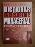 Iulian Ceausu - Dictionar enciclopedic managerial (volumul 3)