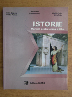 Sorin Mitu - Istoria romanilor. Manual pentru clasa a XII-a
