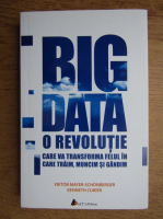 Viktor Mayer Schonberger - Big Data. O revolutie care va transforma felul in care traim, muncim si gandim